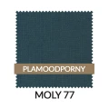 WZ_MOLY77_PL.jpg