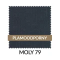 WZ_MOLY79_PL.jpg