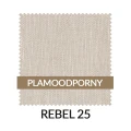 WZ_REBEL25_PL.jpg